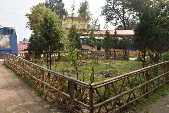 the school garden