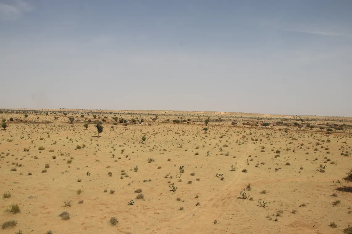 View of the desert around Tabalak. 