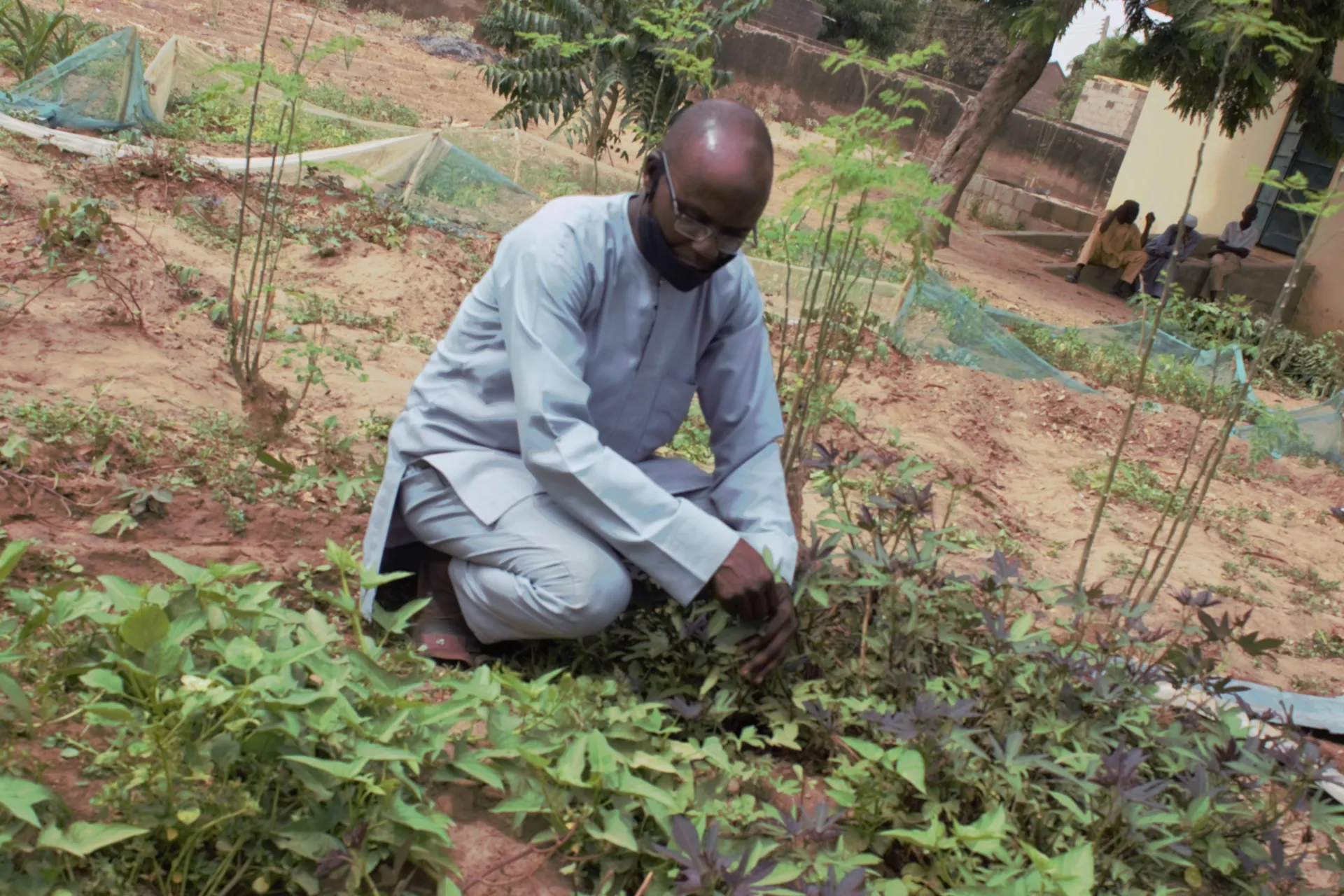 A man on the farm