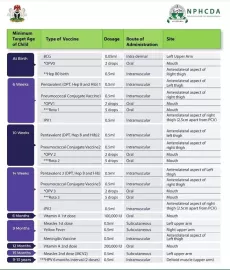 Photo of Immunization Schedule 
