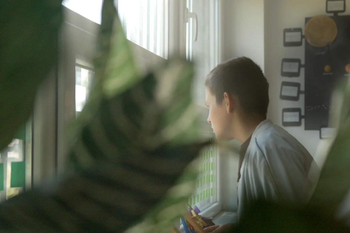 Adolescent boy looking through the window