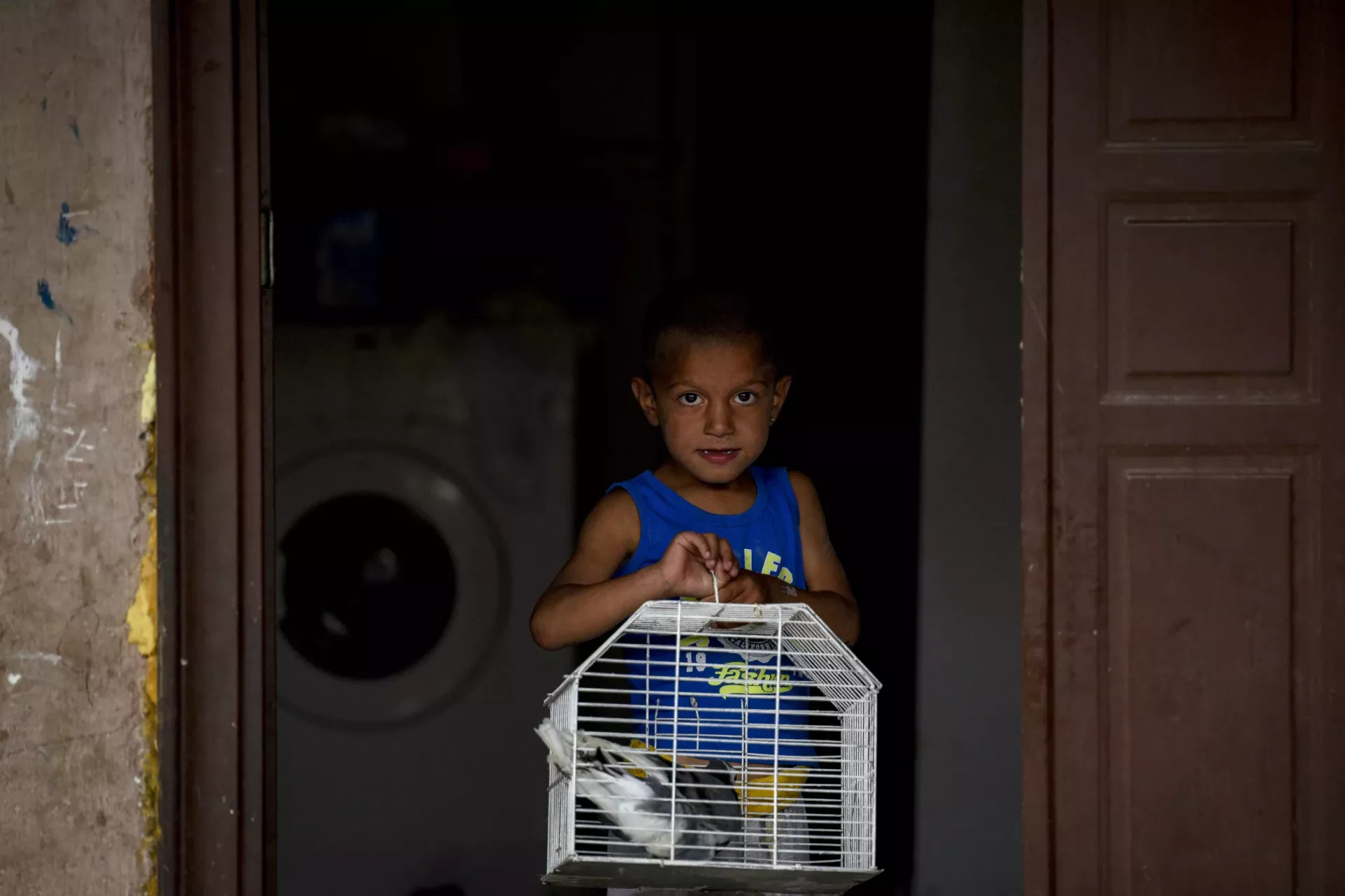 Child carrying a cage with a bird in front of his home 