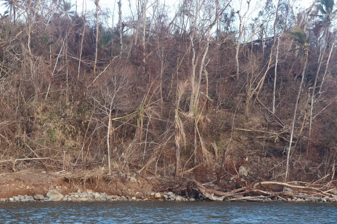 Tropical Cyclone Maila tore through Simbo Island, leaving hillsides dry and exposed after vegetation and trees were destroyed. Community leaders say vital sago leaves traditionally used for roofing and walls may take years to recover, adding another challenge for families rebuilding their homes. 