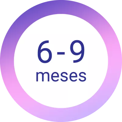 6-9 meses