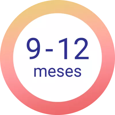 9-12 meses