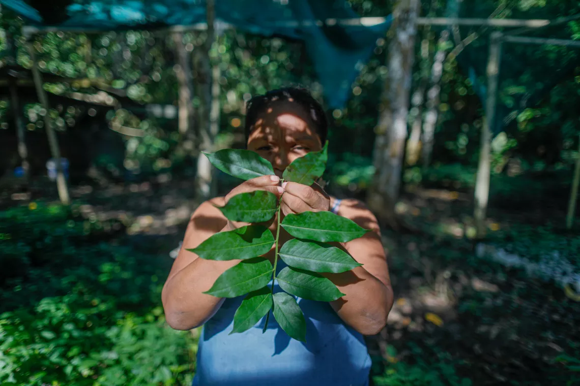 Omayra observa una rama de una planta de almendra en medio de un vivero bot&aacute;nic