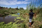 Un ni&ntilde;o pesca con una ca&ntilde;a de palo en una laguna de su barrio