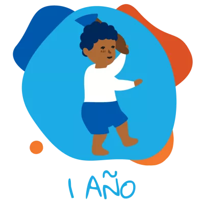1 a&ntilde;o