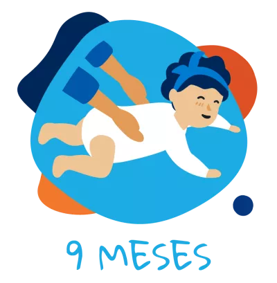 9 meses