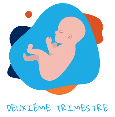 DEUXI&Egrave;ME TRIMESTRE