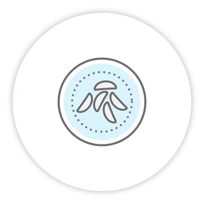 plate and food icon
