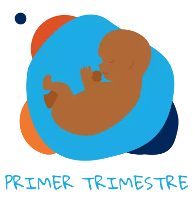 Primer trimestre