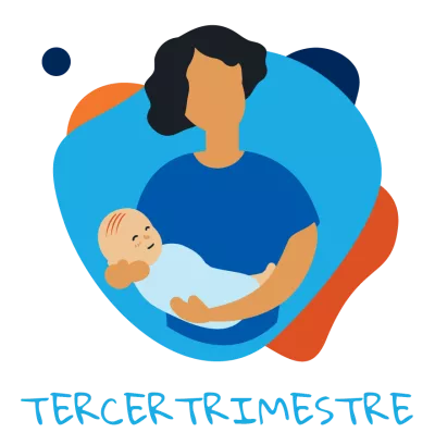 Tercer trimestre