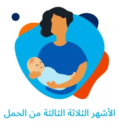 Third-trimester-Arabic