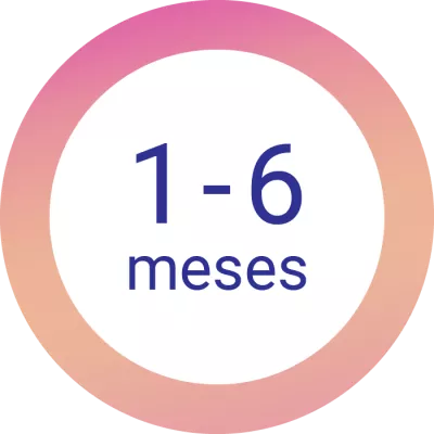 1-6 meses