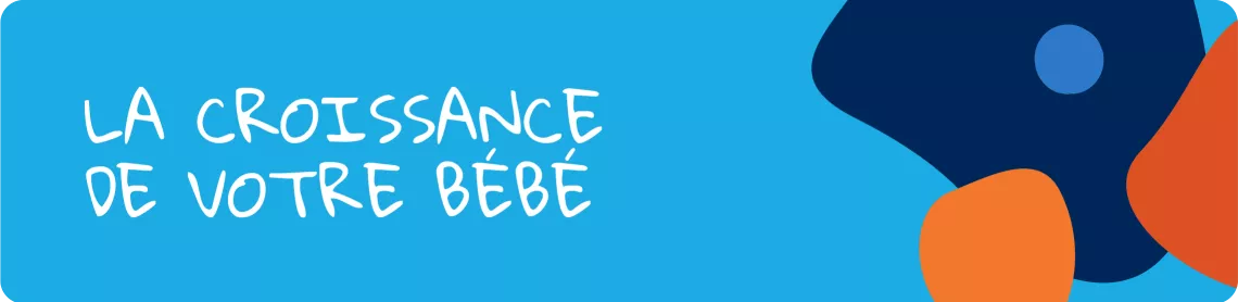 LA CROISSANCE DE VOTRE B&Eacute;B&Eacute;