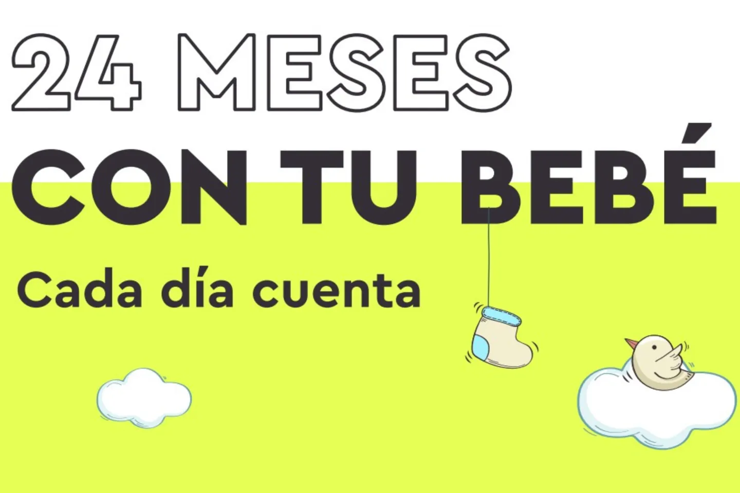 portada 24 meses