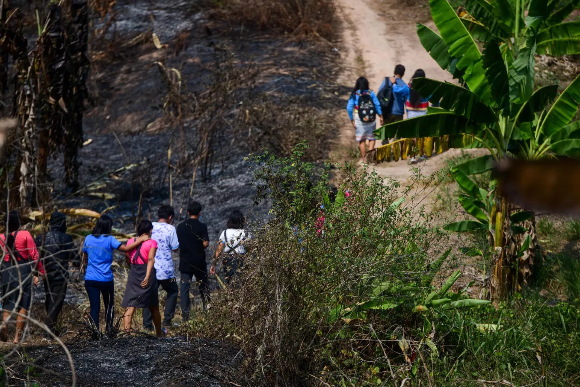 Ni&ntilde;os y ni&ntilde;as en incendios forestales en Ucayali