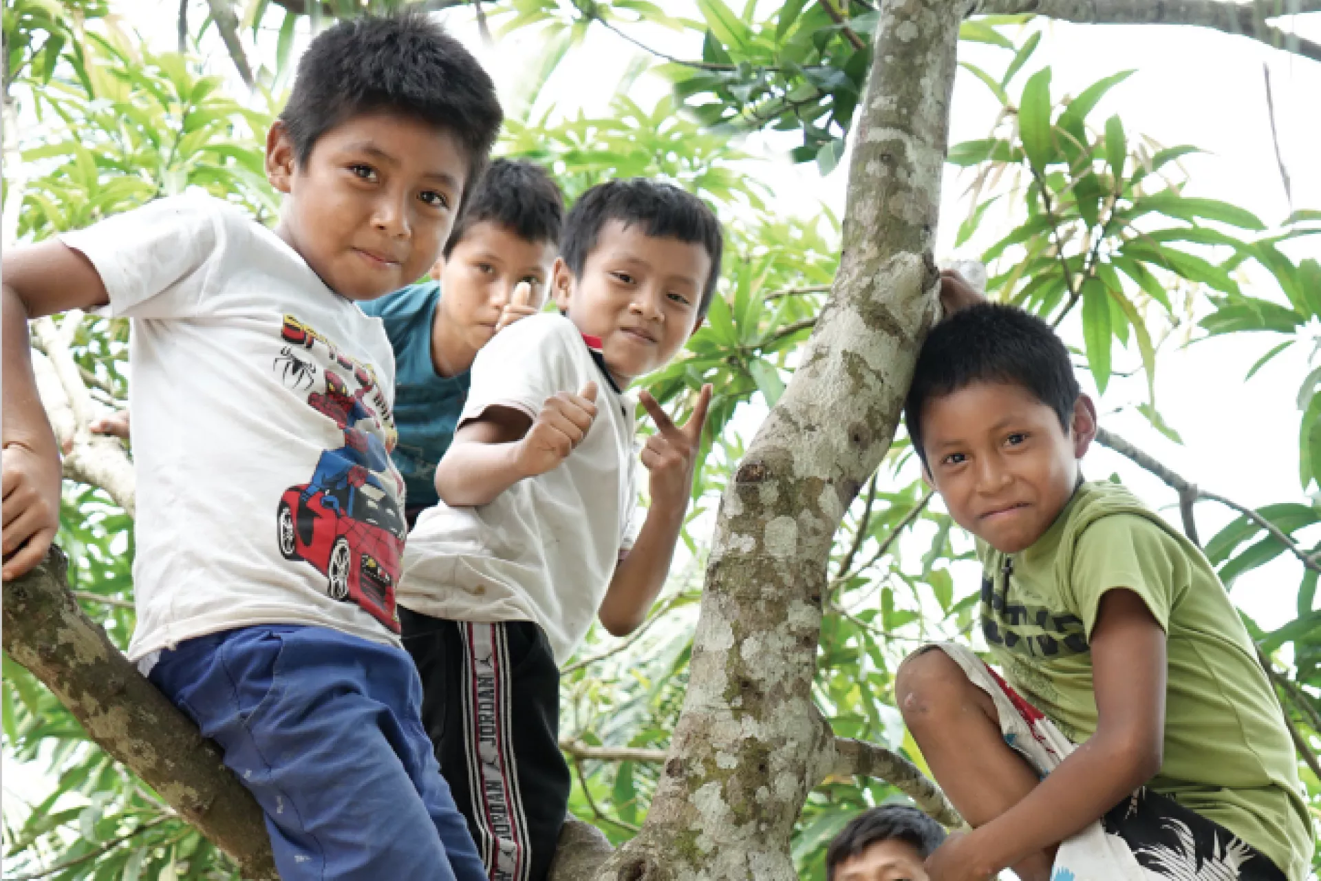 Un grupo de ninos subidos a un arbol