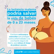 Data Lactancia Materna 1