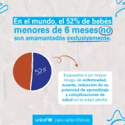 Data Lactancia Materna 2