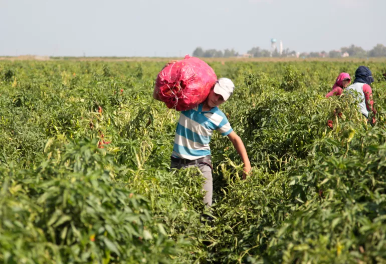 Ni&ntilde;o trabajando en el campo