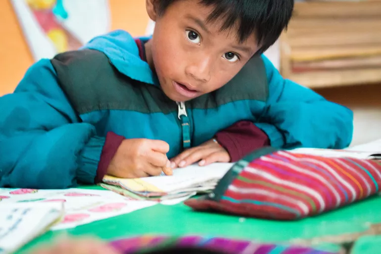 Ni&ntilde;o estudiando en casa