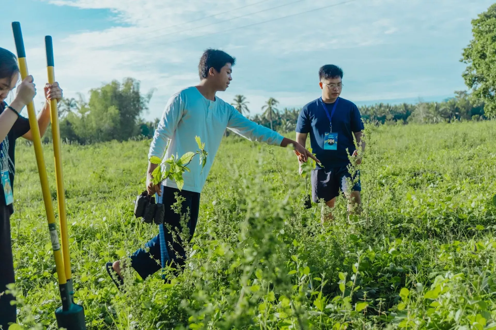 Youth-led farming