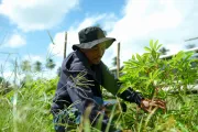 Father and barangay kagawad in San Miguel, Surigao del Sur