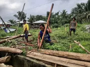 Workers chopping wood