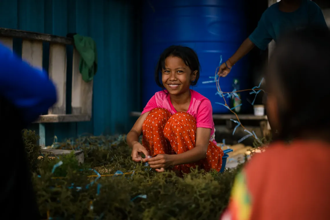 A child helps sort newly-harvested seaweeds 