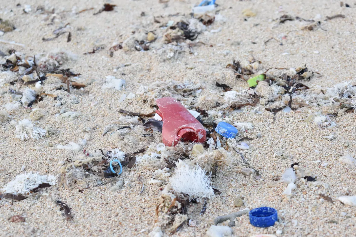 Plastic waste 1