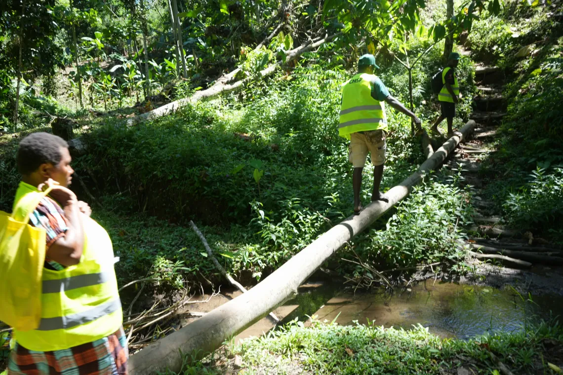 VHAs carefully cross a creek on their journey to collect household information in remote hamlets.