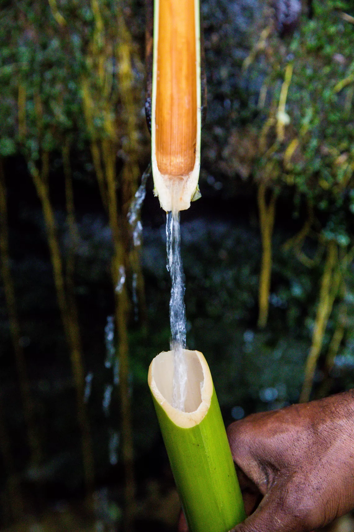 Villagers in Komea Village, Nipa, Southern Highlands Province still get their water from a stream in the mountains.