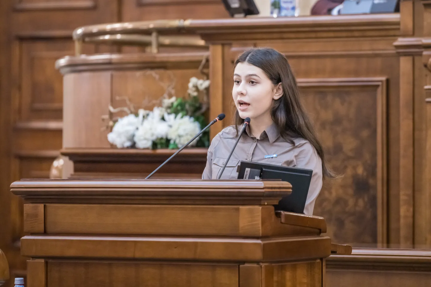 Denisa Boardul Copiilor