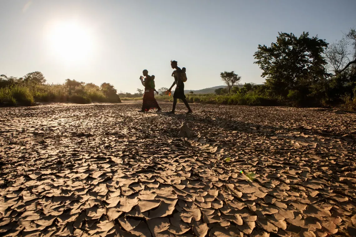 Children walking in the desert