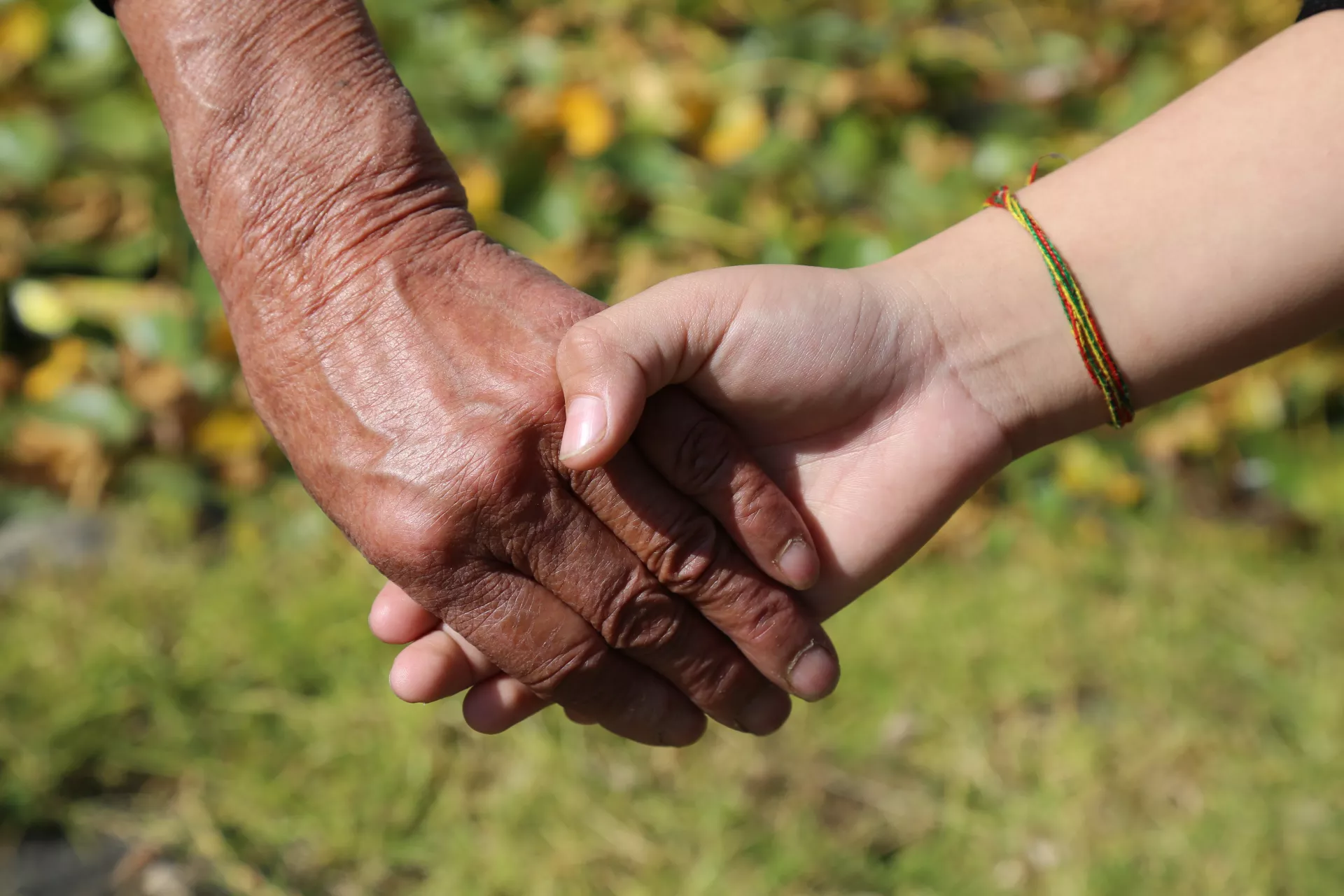 A close up shot of an elderly&rsquo;s hand holding a child&rsquo;s hand