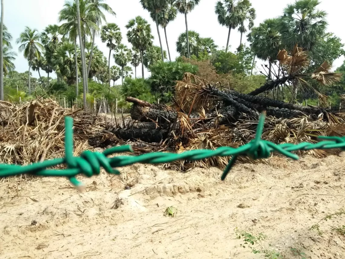 Thanukaran