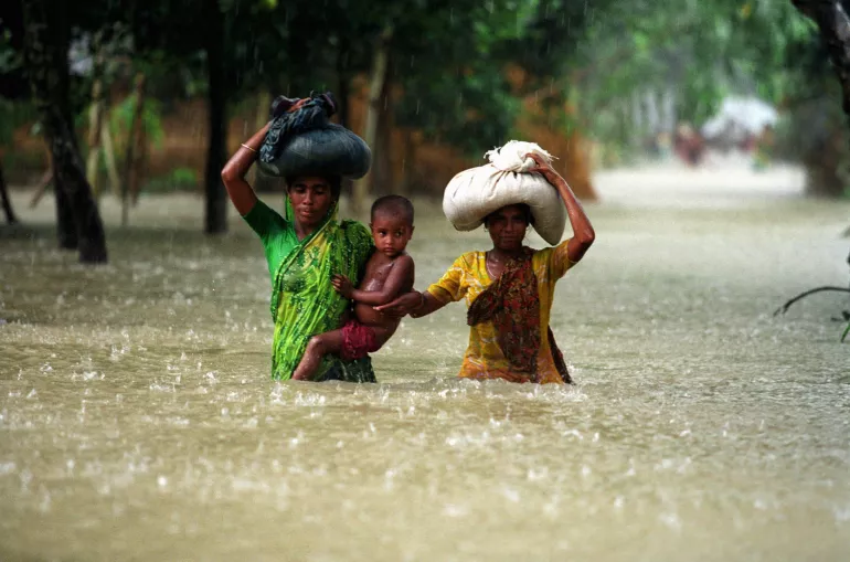 Cover page picture