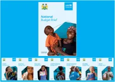 Cover Photo containing screenshots of the various budget briefs cover's and put into 1 photo