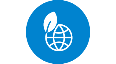 Icon representing environmental sustainability - globe with a leaf