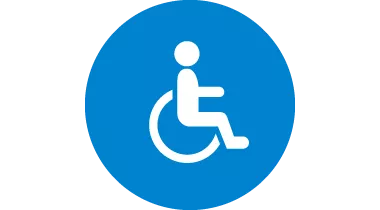 Icon representing children with disabilities - child in a wheelchair