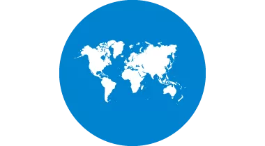 Icon representing country offices - world map