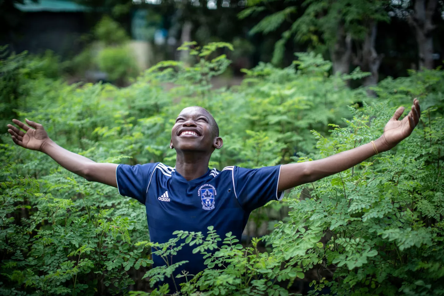 A young boy standing in a greenness