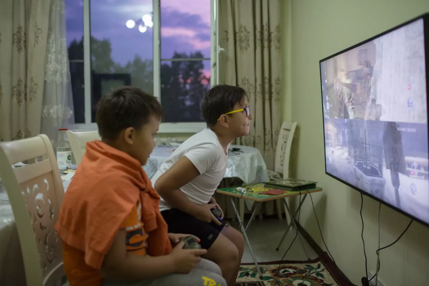 Protecting Children in the Digital Environment 