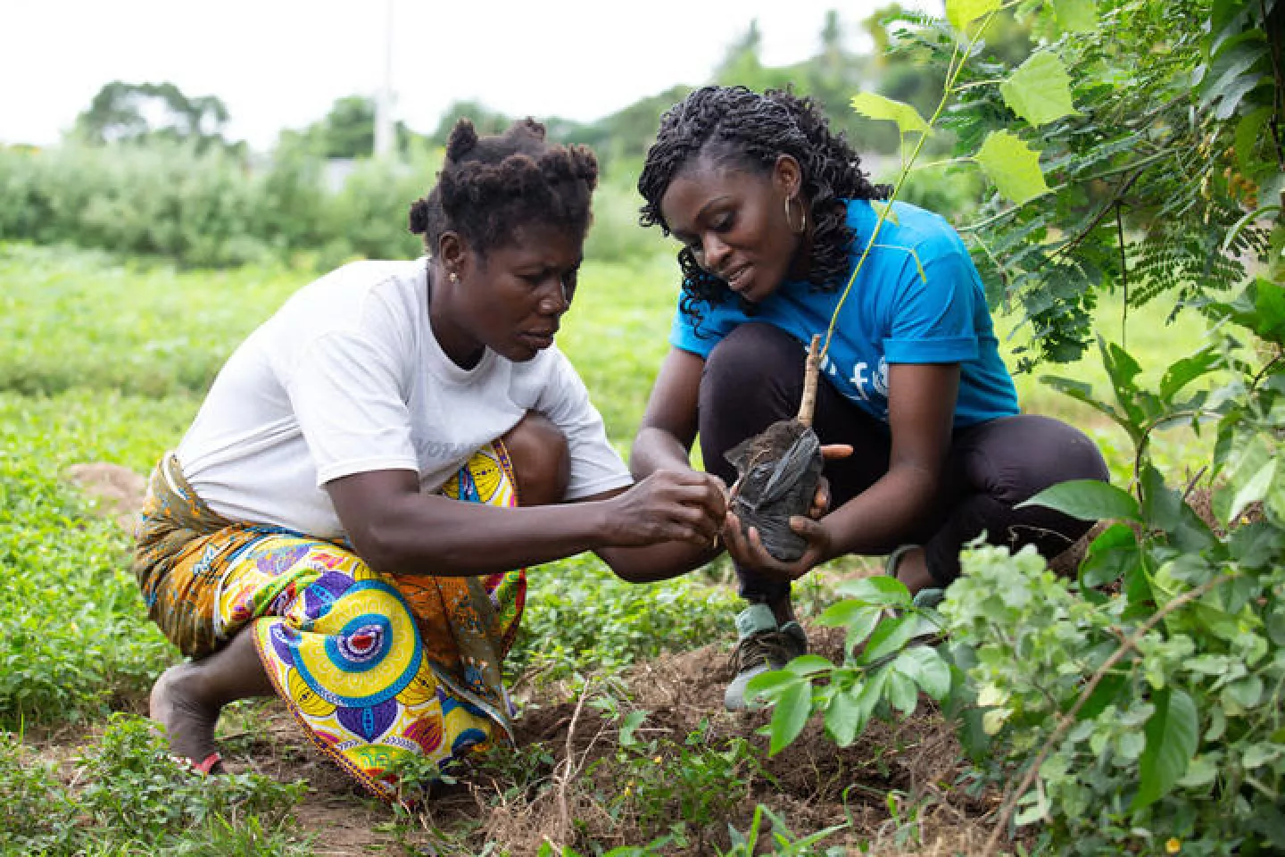 Green Rising initiative