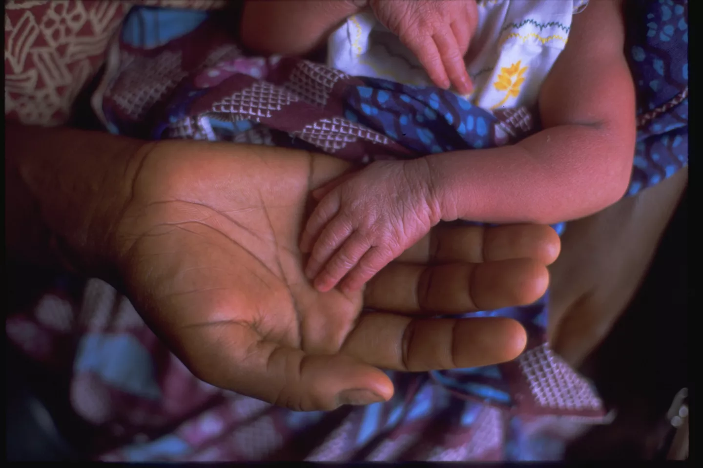 Mother hold's hand of newborn