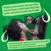 A green cut-out style graphic showing a photo of a child receiving a vaccination alongside accurate information about vaccine safety.