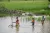 Ghana. A group of health workers cross a flooded field in northern Ghana.