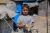 Gaza. A boy stands near a tent.